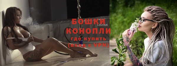 ALPHA PVP Краснослободск