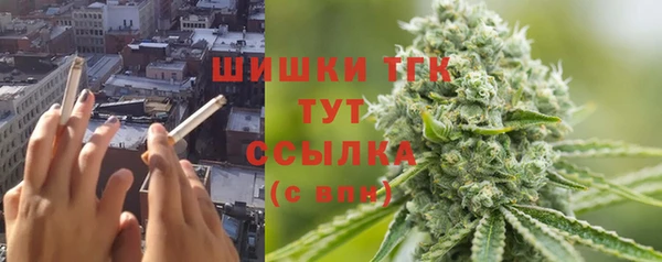 ALPHA PVP Краснослободск