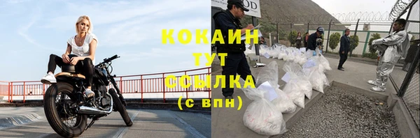ALPHA PVP Краснослободск