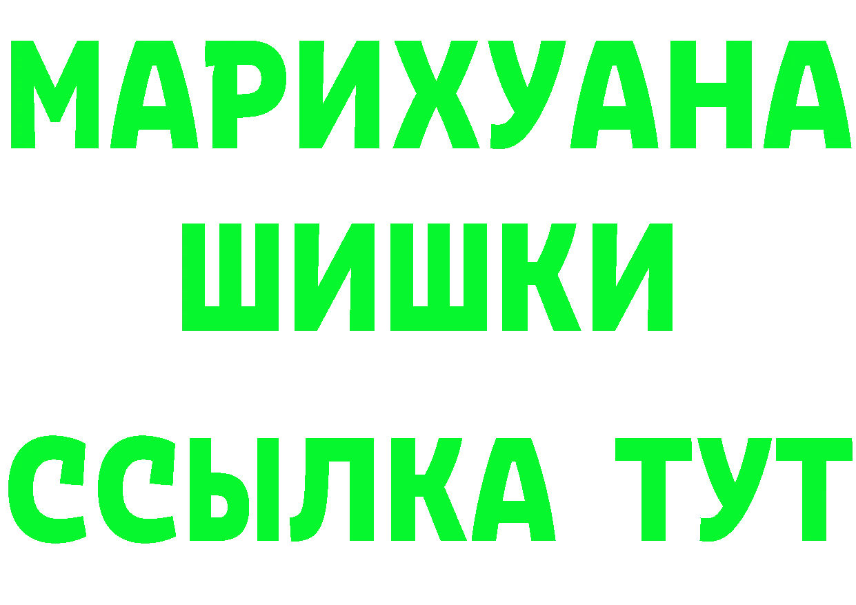 Альфа ПВП Crystall вход площадка гидра Петропавловск-Камчатский