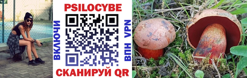Псилоцибиновые грибы Psilocybe  Петропавловск-Камчатский 