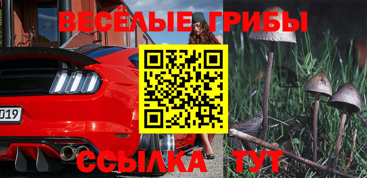 Галлюциногенные грибы мухоморы Петропавловск-Камчатский