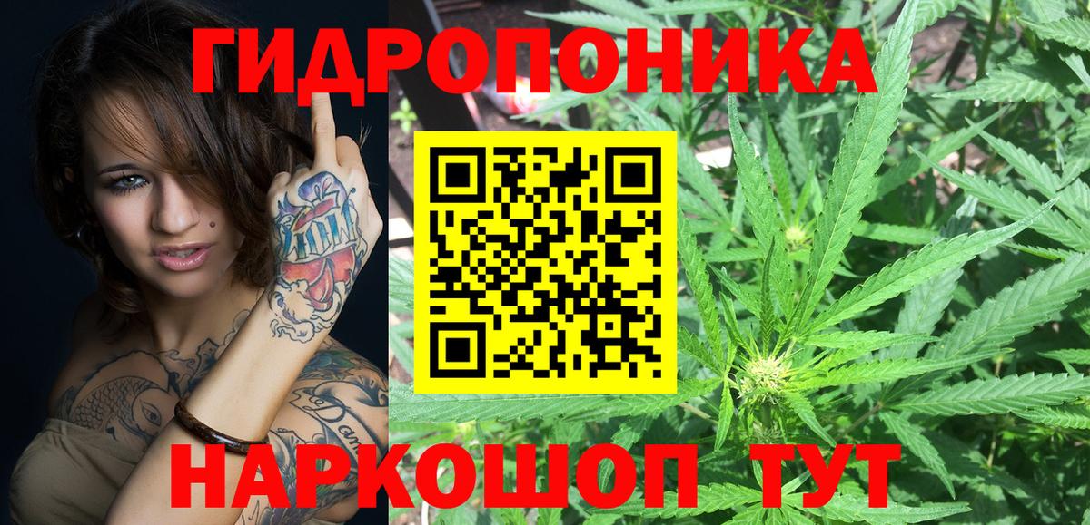 Бошки Шишки Bruce Banner  Каннабис индика  Вход с VPN  Петропавловск-Камчатский 
